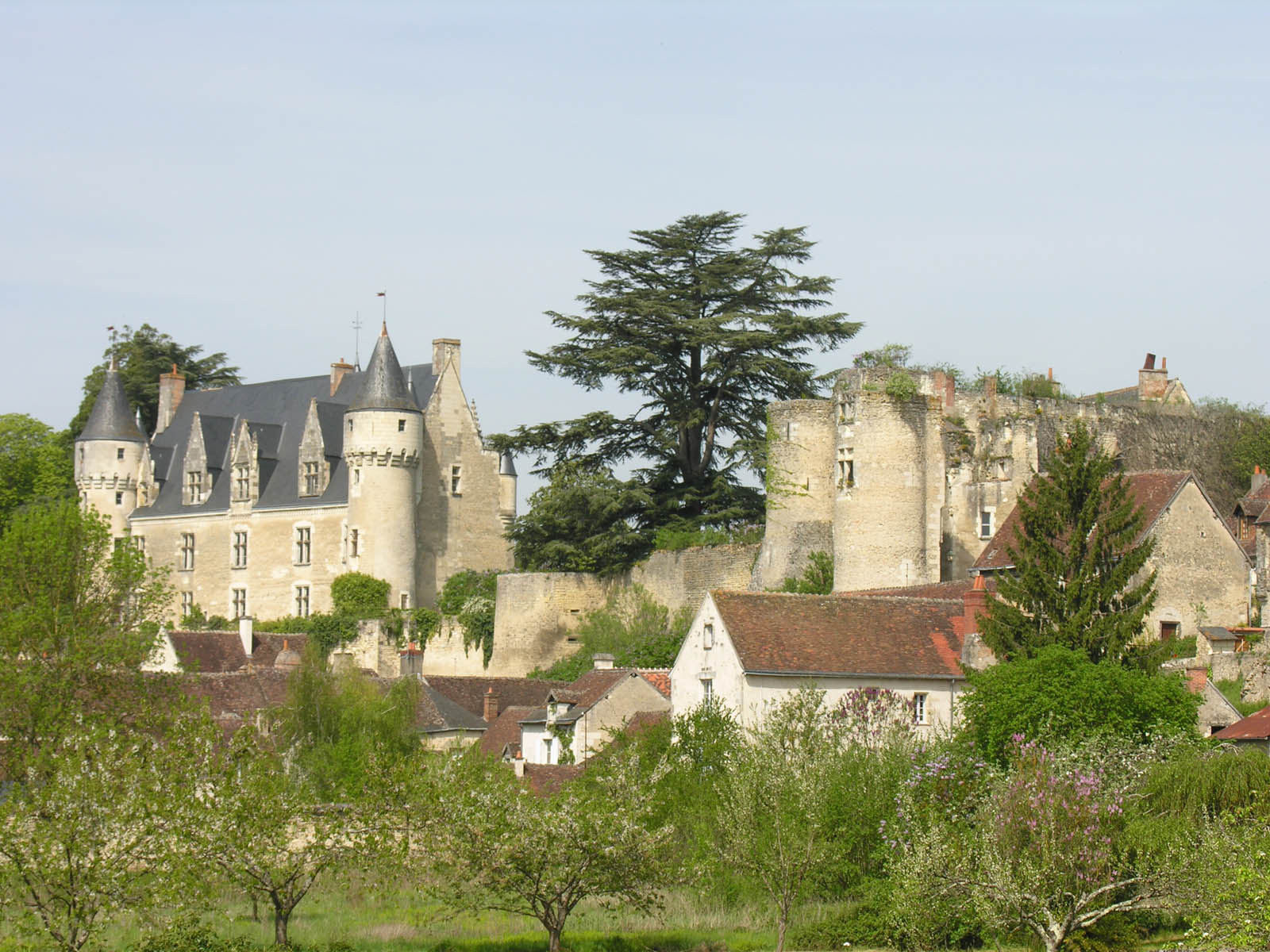 Montresor